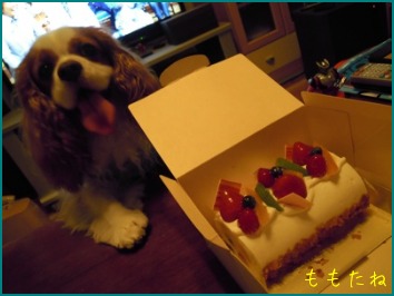 Happy Birthday♪ §≧o≦§〜_d0044986_23233586.jpg