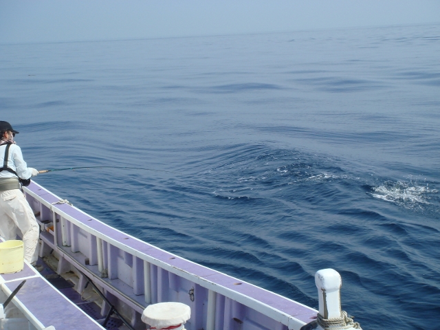 c0139388_00175.jpg