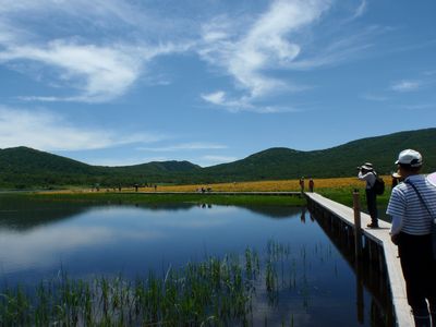青くて黄色い雄国沼_a0096989_20294861.jpg