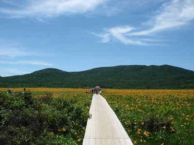 青くて黄色い雄国沼_a0096989_20571048.jpg