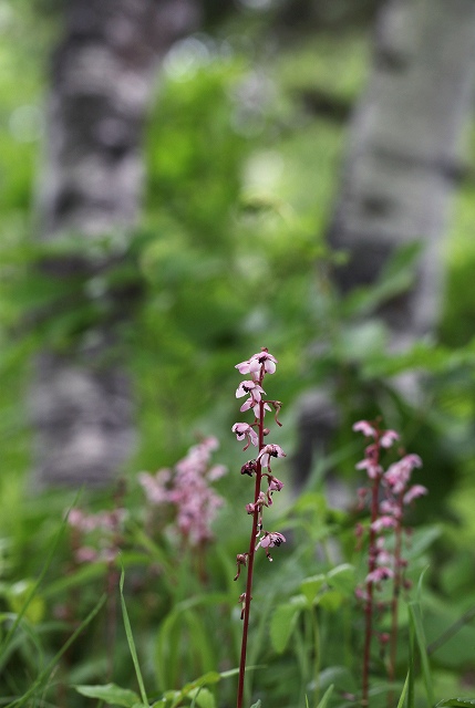 f0000789_21264529.jpg