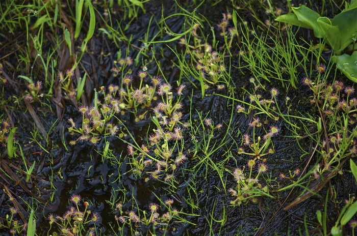 b0217090_2114739.jpg