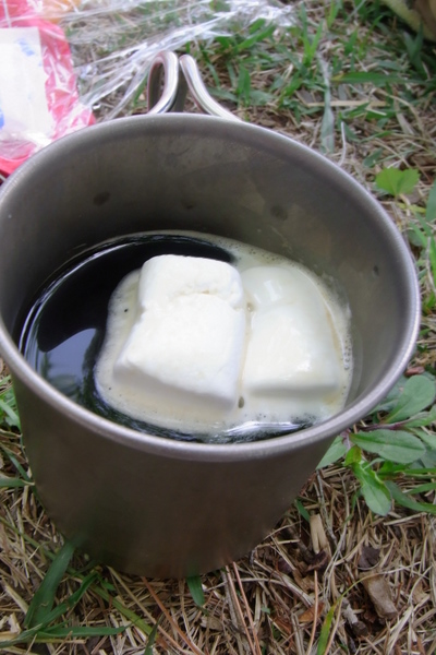 e0083204_11403335.jpg