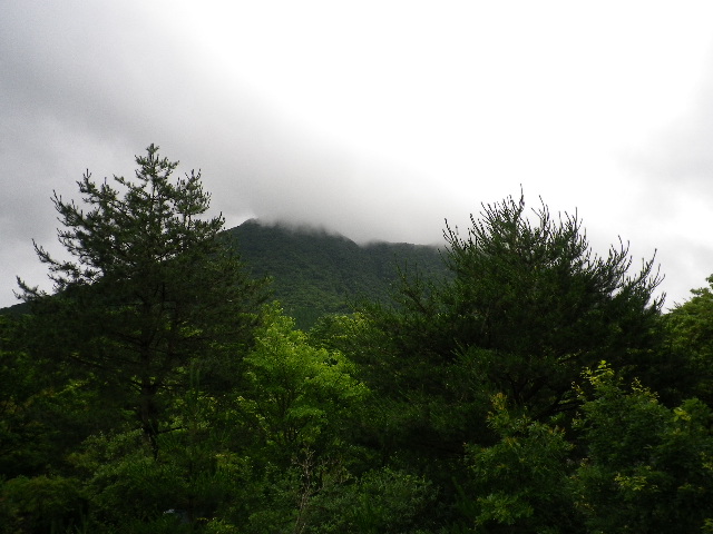 今朝は雨模様_e0179508_95811.jpg