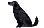 c0097309_13232789.gif
