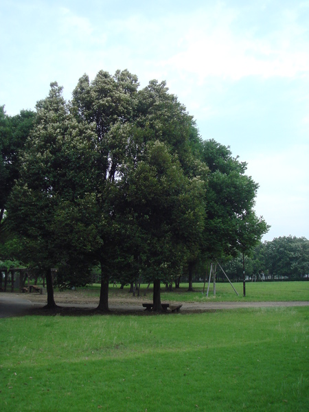 b0199912_046237.jpg