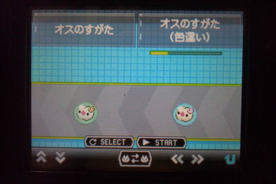 ユニラン 自然遭遇しちゃいました 青いデルビルのポケモン日記