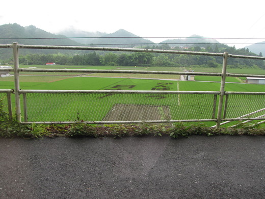 嶺北弾丸ツァー_f0006215_9583792.jpg