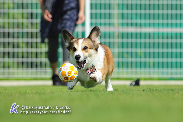 LADFさんで写真を撮ってもらいました~♪ ~フィールド編_f0155118_10171093.jpg