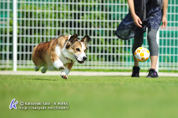 LADFさんで写真を撮ってもらいました~♪ ~フィールド編_f0155118_10172593.jpg