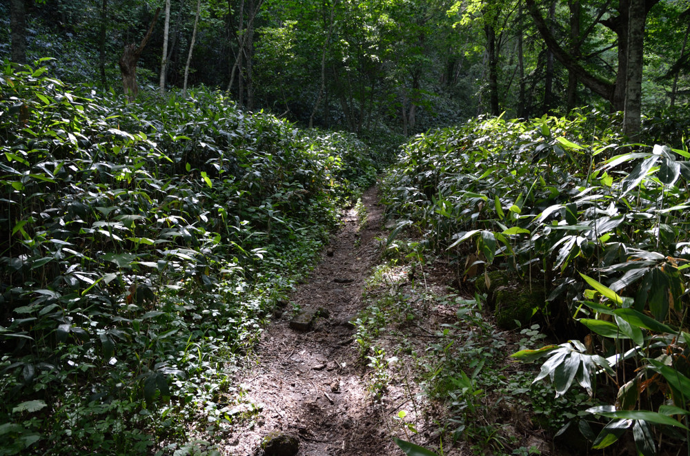 美笛の滝　【登山記？あり】　2011.7.6_a0145819_22293892.jpg