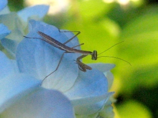 b0209919_22461159.jpg