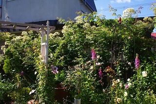 f0170524_11162032.jpg