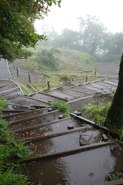 雨の大山登山　その３_c0196928_7443665.jpg