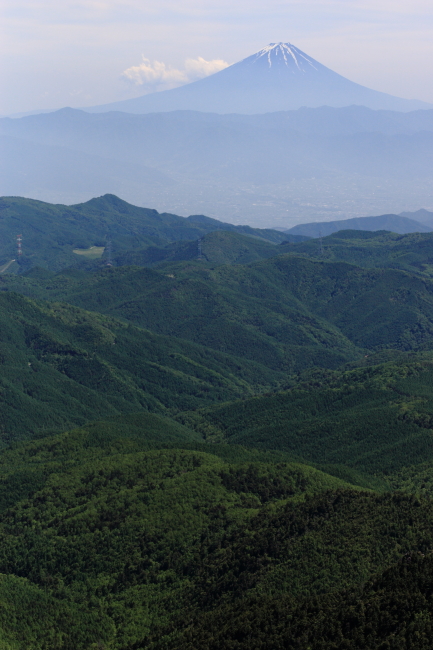 c0124029_18712.jpg