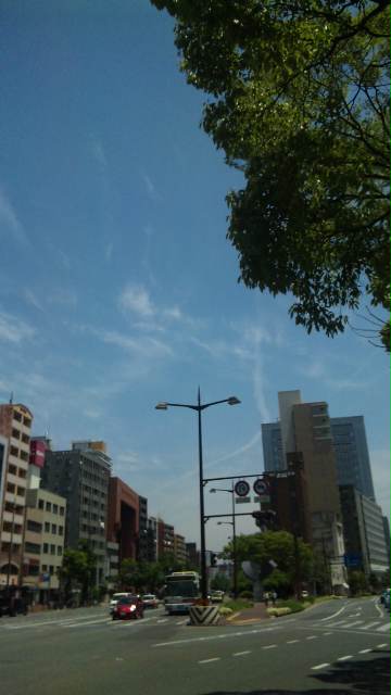 d0168331_816113.jpg