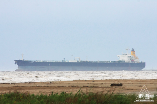 106 Bolivar Peninsula ~ペリカンだらけ~_c0211532_183633.jpg