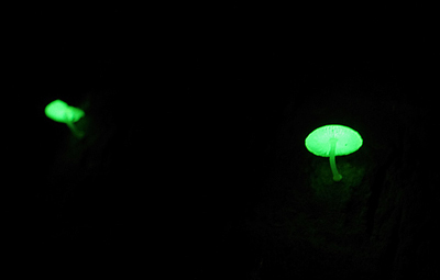 f0108133_21165236.jpg