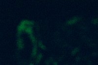 f0108133_21173567.jpg