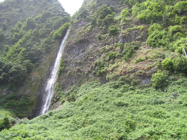 a0138438_72164.jpg