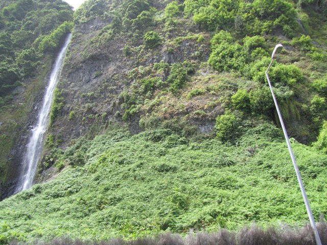 a0138438_72172.jpg