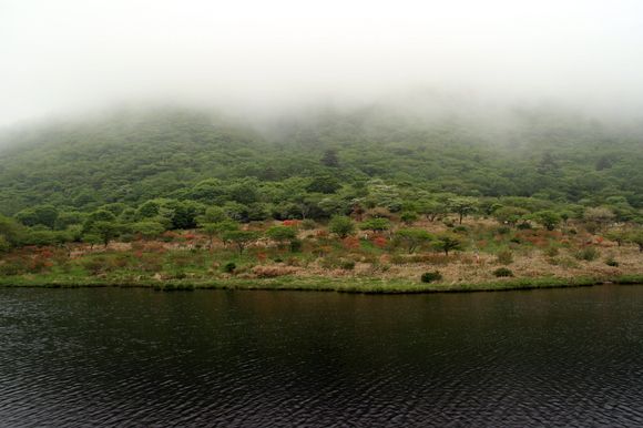 e0007544_16387.jpg