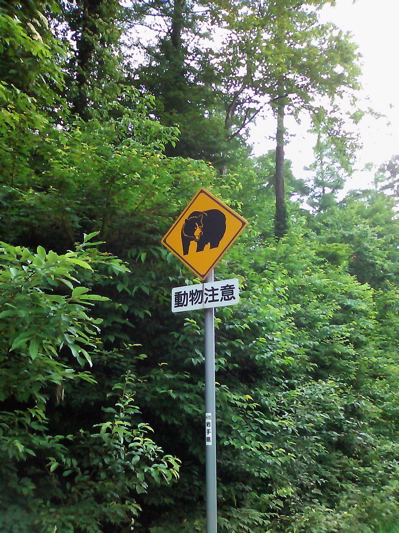 d0155148_21401918.jpg
