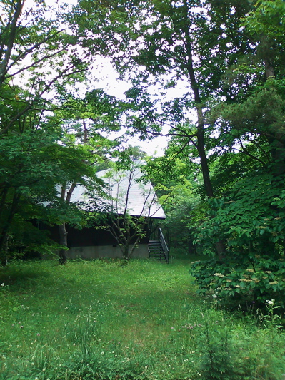 d0155148_21495746.jpg