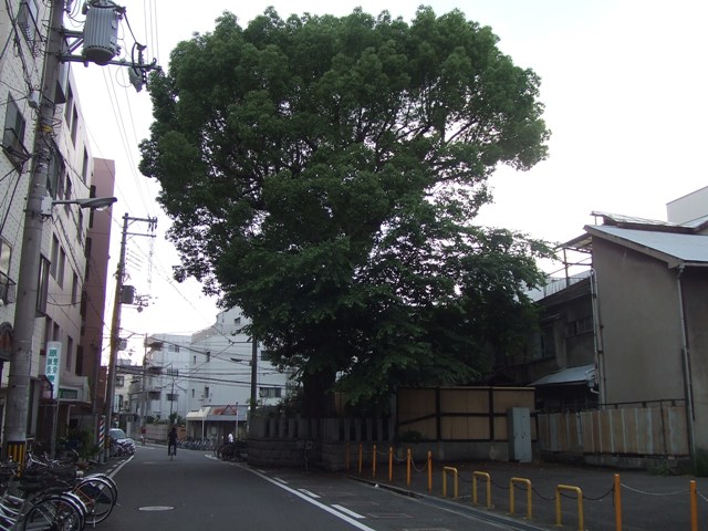 Tengachaya ~ A tea room Toyotomi Hideyoshi liked_e0046748_1853447.jpg