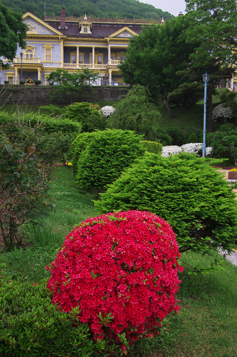 花盛りの朝(函館)_f0155048_22491020.jpg