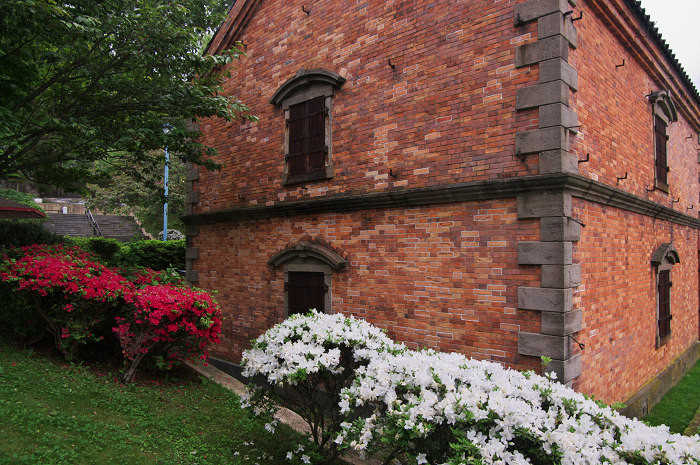 花盛りの朝(函館)_f0155048_22491919.jpg