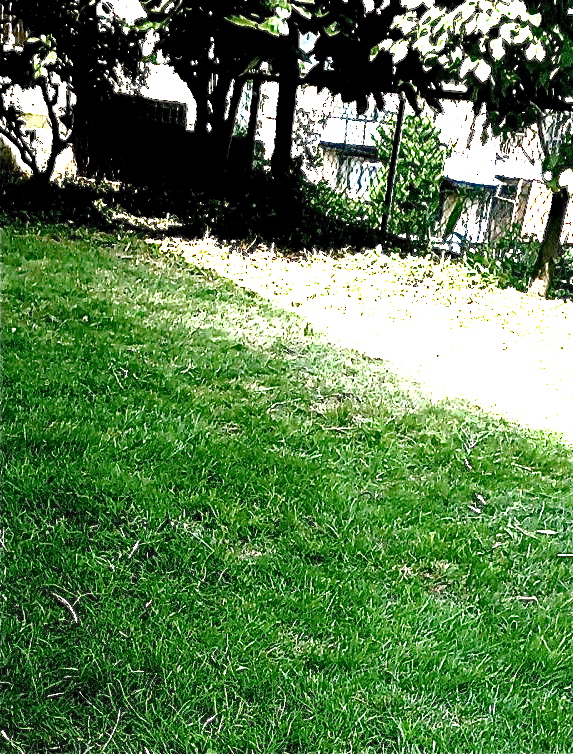 c0114549_1450593.jpg