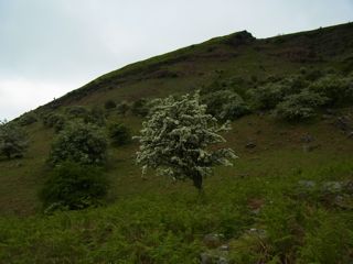 e0190756_1014749.jpg