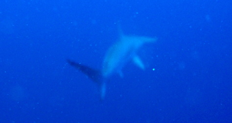 d0113459_10222226.jpg