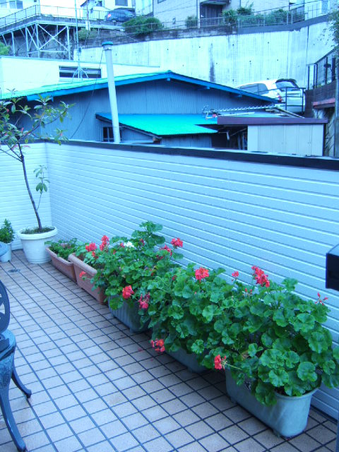 c0229062_186718.jpg