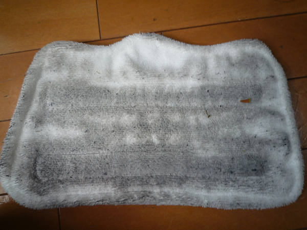 a0061973_11335041.jpg