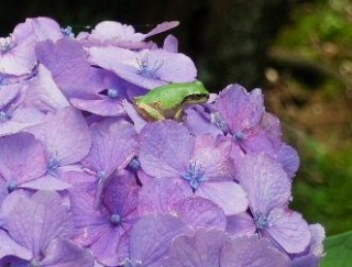 もう1歩、近づけませんか。_b0141773_22581242.jpg