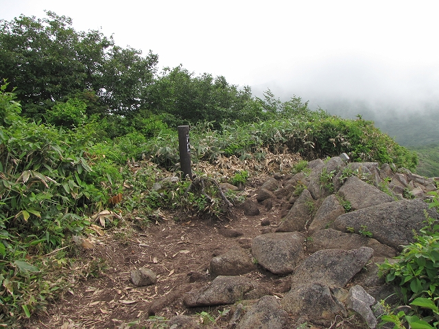 7月3日（日）　平標山♪_a0191674_1127105.jpg