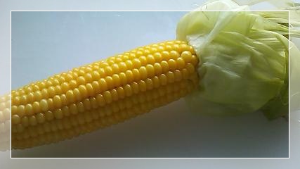 f0234074_13211925.jpg