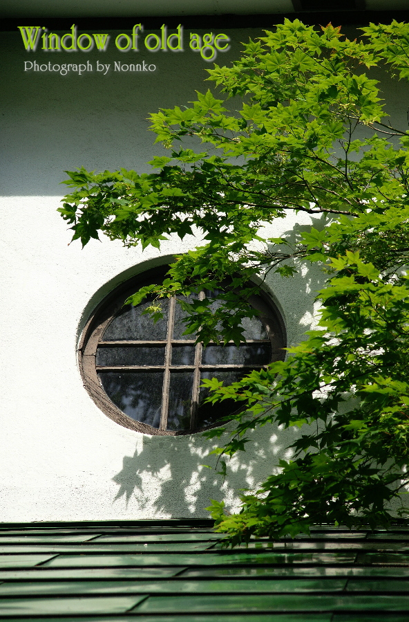 c0106977_848311.jpg