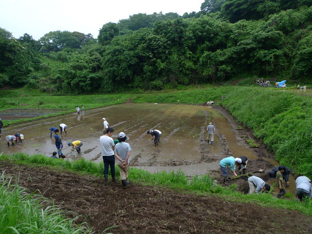 a0182281_1635478.jpg