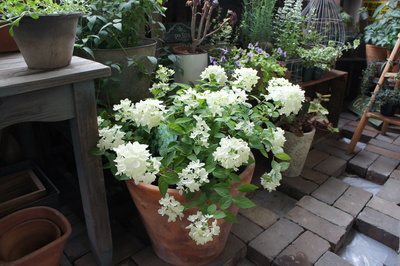 c0227800_724476.jpg