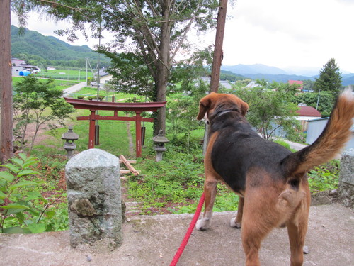 かっぱ橋_b0152504_22161286.jpg