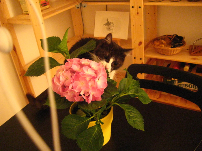 c0201605_1355459.jpg