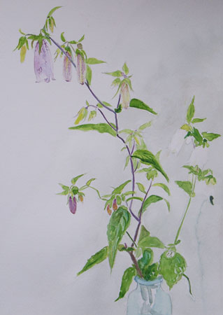 アトリエ蒼通信椿峰14 2011年7月8日(金)_b0129807_22342932.jpg
