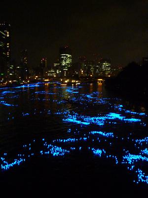 f0226208_1115029.jpg