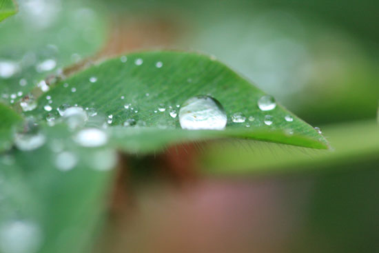 雨の合間に_e0235910_21295812.jpg