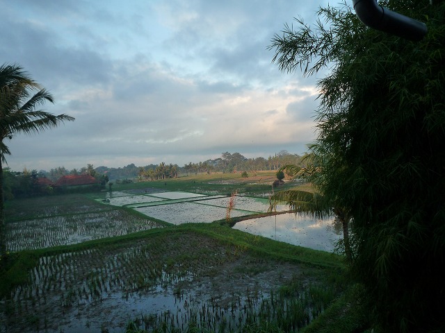 d0224712_8381576.jpg