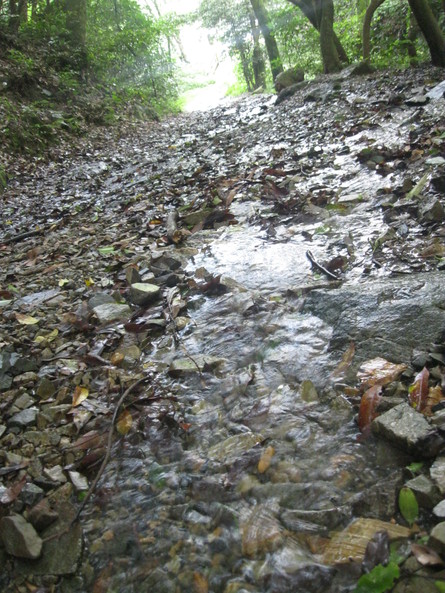 「黒崎と 水汲み」~~_a0125419_20104093.jpg