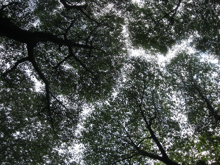 「黒崎と 水汲み」~~_a0125419_20112569.jpg